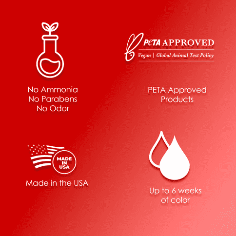 Godefroy Tint Kit Hair Color