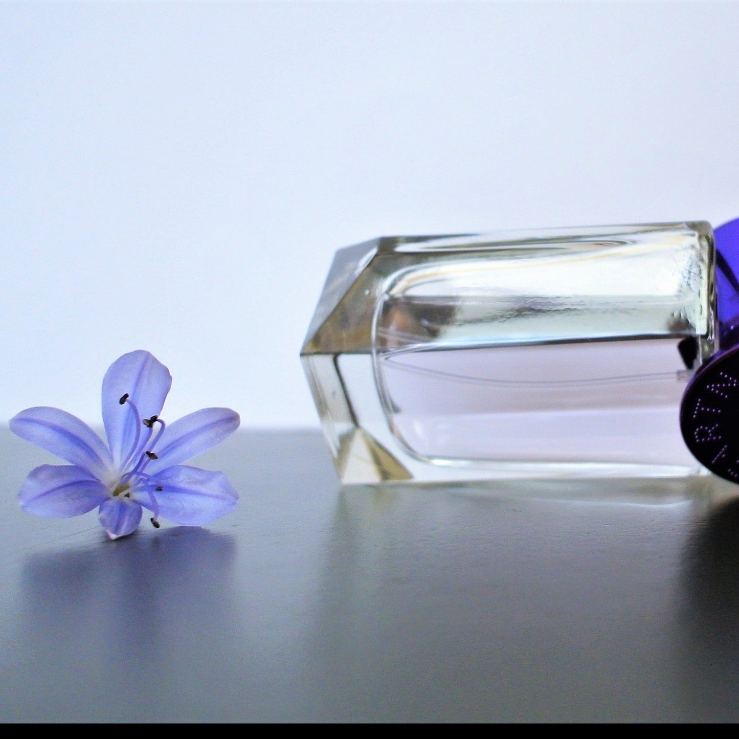 Stella Mccartney Pop Bluebell EDP